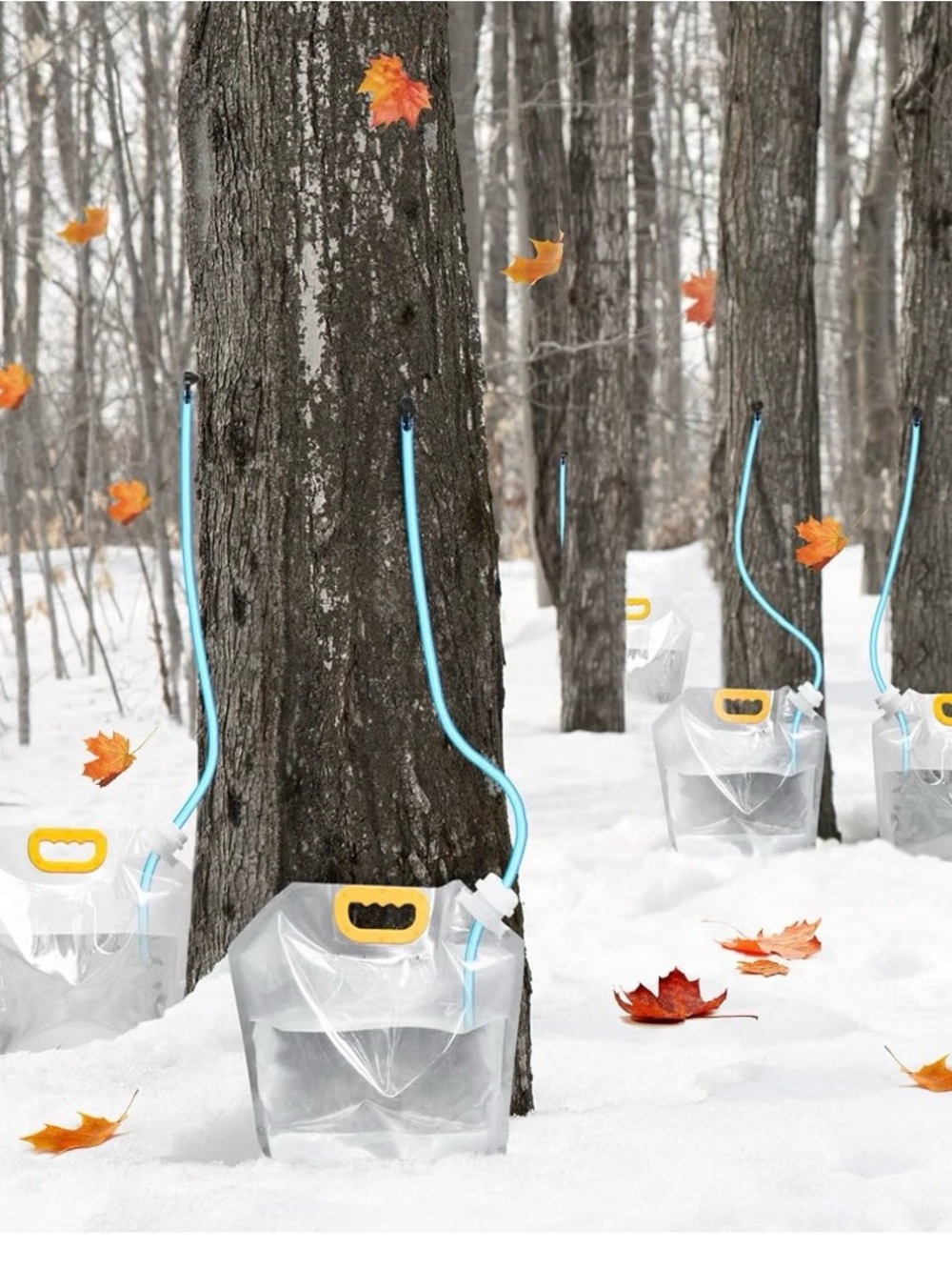 15 sets Maple Syrup Tapping Kit - Picture 6 of 7
